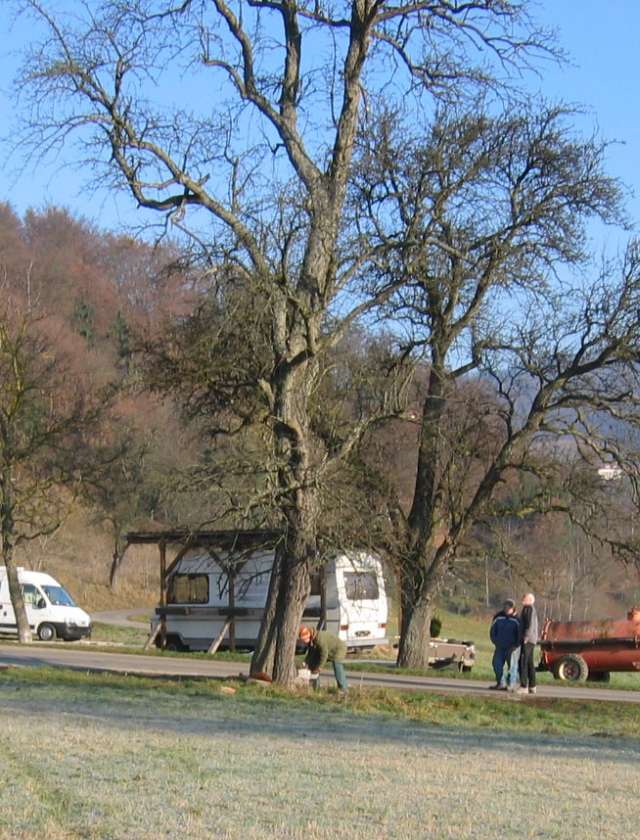 Buch